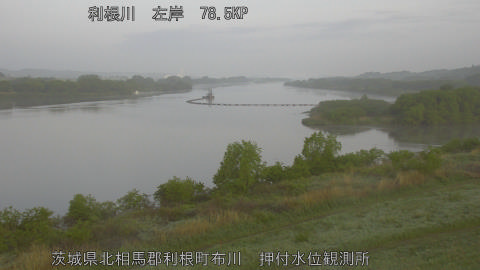 tonos2026042806_image