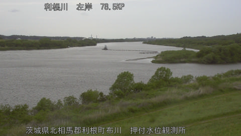 tonos2026042815_image