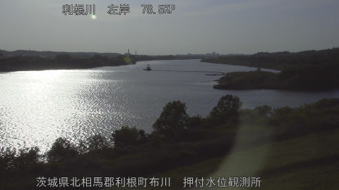 tonos2026042817_image