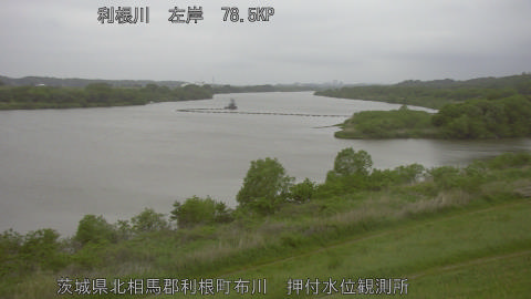 tonos2026042906_image