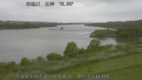 tonos2026042907_image