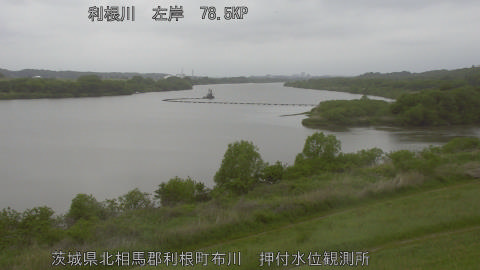 tonos2026042910_image