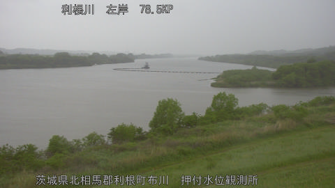 tonos2026042917_image