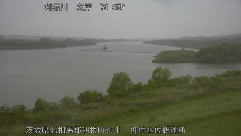 tonos2026042918_image