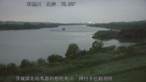 tonos2026042919_image