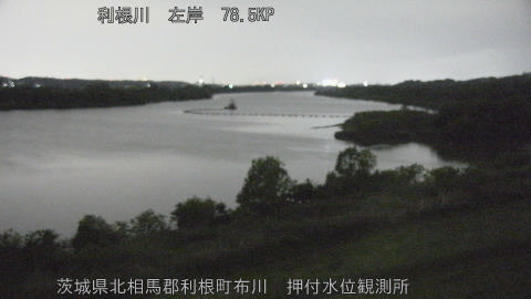 tonos2026042923_image