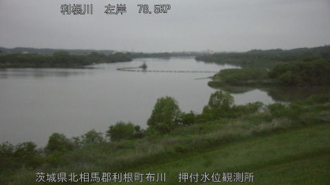 tonos2026043005_image