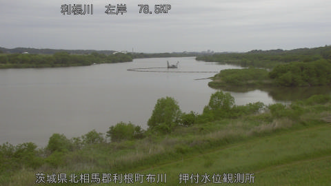 tonos2026043009_image