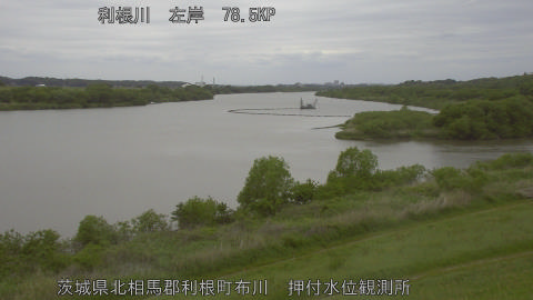 tonos2026043013_image