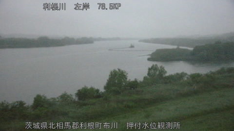 tonos2026050105_image