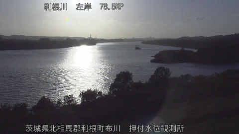 tonos2026050118_image