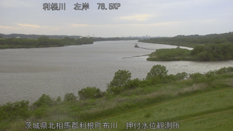 tonos2026050318_image