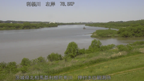 tonos2026050511_image