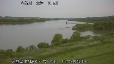 tonos2026050605_image