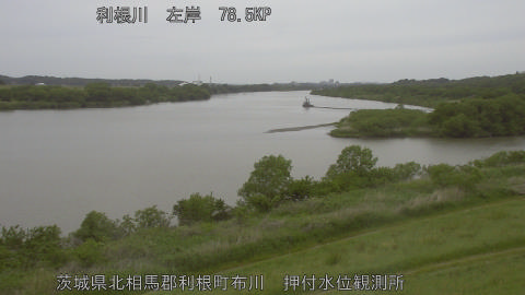 tonos2026050615_image