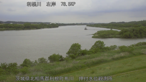 tonos2026050812_image