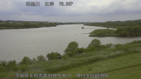 tonos2026050813_image