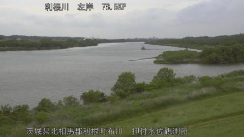 tonos2026050814_image