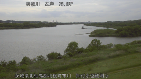 tonos2026050815_image