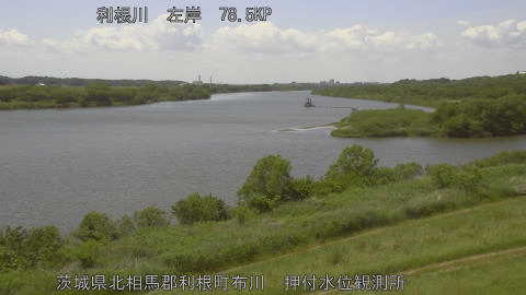 tonos2026051113_image