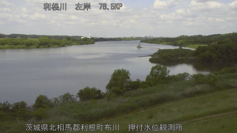 tonos2026051211_image