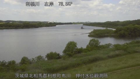 tonos2026051212_image
