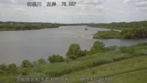 tonos2026051213_image