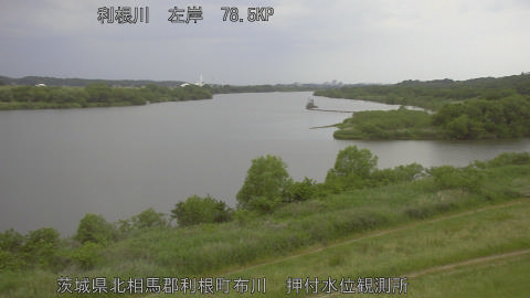 tonos2026051318_image