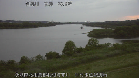 tonos2026051319_image