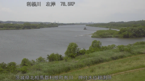 tonos2026051413_image