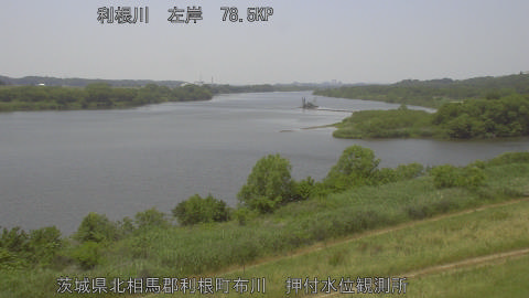 tonos2026051812_image