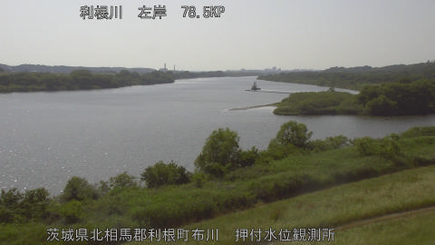 tonos2026051815_image