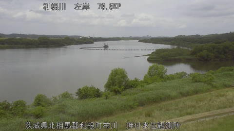 tonos2026052412_image