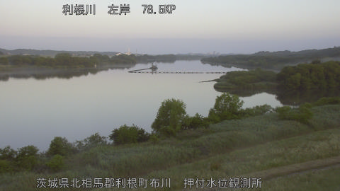 tonos2026052505_image