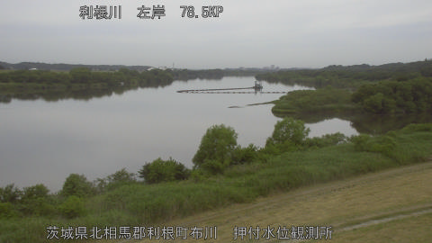 tonos2026053107_image