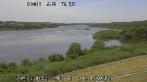 tonos2026060112_image