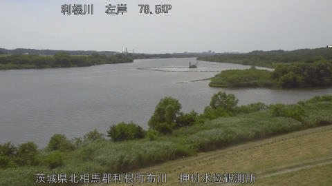 tonos2026060114_image