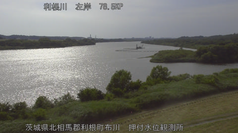 tonos2026060116_image