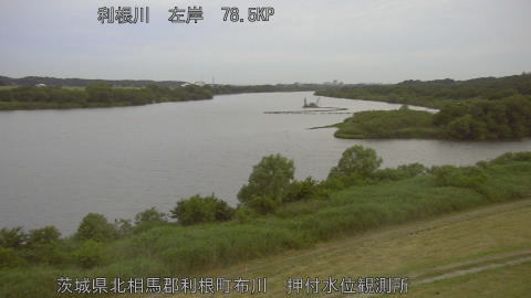 tonos2026060205_image