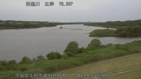 tonos2026060212_image