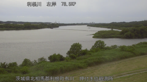 tonos2026060215_image