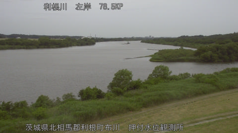 tonos2026060218_image