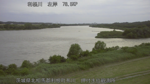 tonos2026060419_image
