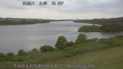 tonos2026060505_image