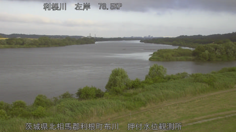 tonos2026060506_image