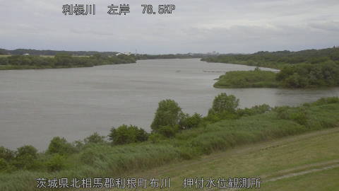 tonos2026060511_image