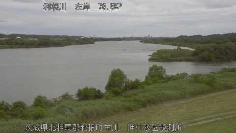 tonos2026060512_image