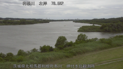 tonos2026060514_image