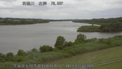 tonos2026060515_image