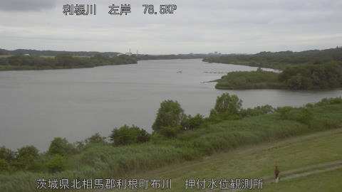 tonos2026060518_image